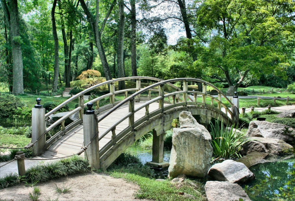 The Garden
